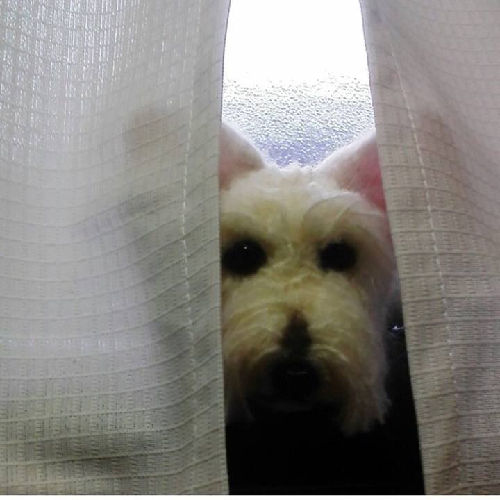 333a96e6 3a07 46ea 915b dd4797b941a7