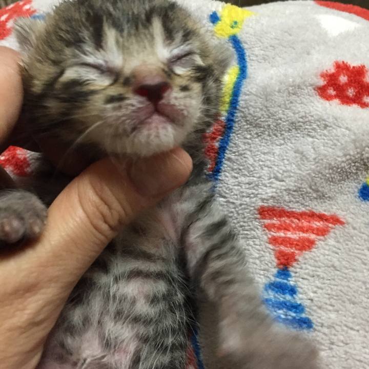 333afaea 226c 45bc b270 71b84fb50bfd