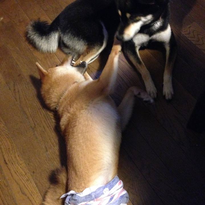 333b23fa ad54 4872 8f78 e090dabeecec