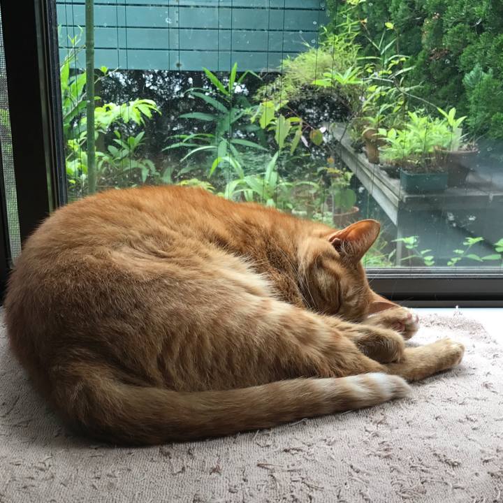 333dc511 5225 4398 89e9 3fca68600499