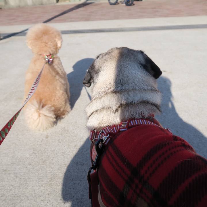 333e148f e6e5 46bb 88f2 0cf55fa624c4