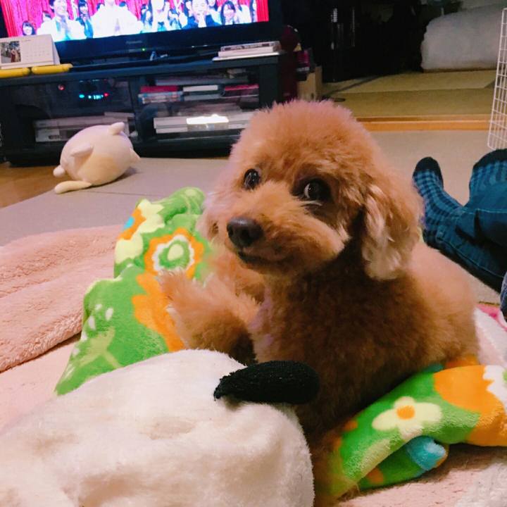 333fcd26 0457 4258 8a57 140ed6251189