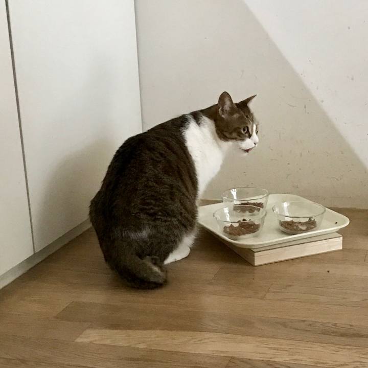 333fdd2b a6fb 40e6 bb78 3b5290f20d32