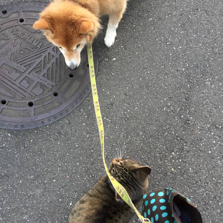 333fe5ed 563b 4ea2 95bf a7e8bfcf9720