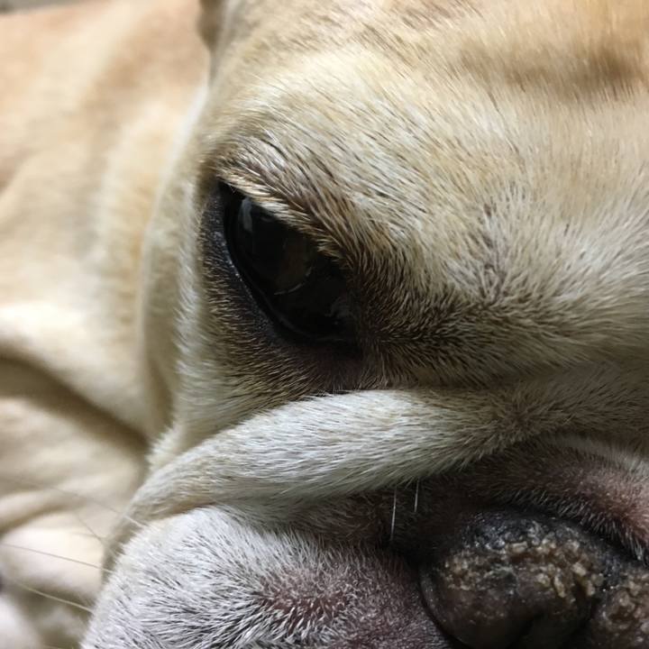 334028a0 05d5 4f01 a9a9 e528fa05e227