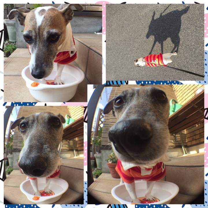 3340c8e9 1b64 449f aa6a 412633989bd8