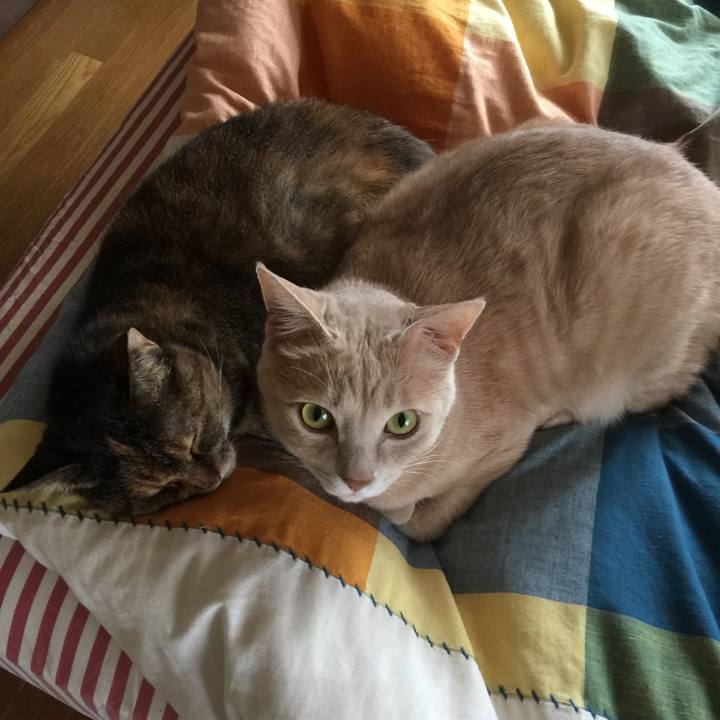 3340d5be 896a 4eee b172 b3b312e53396