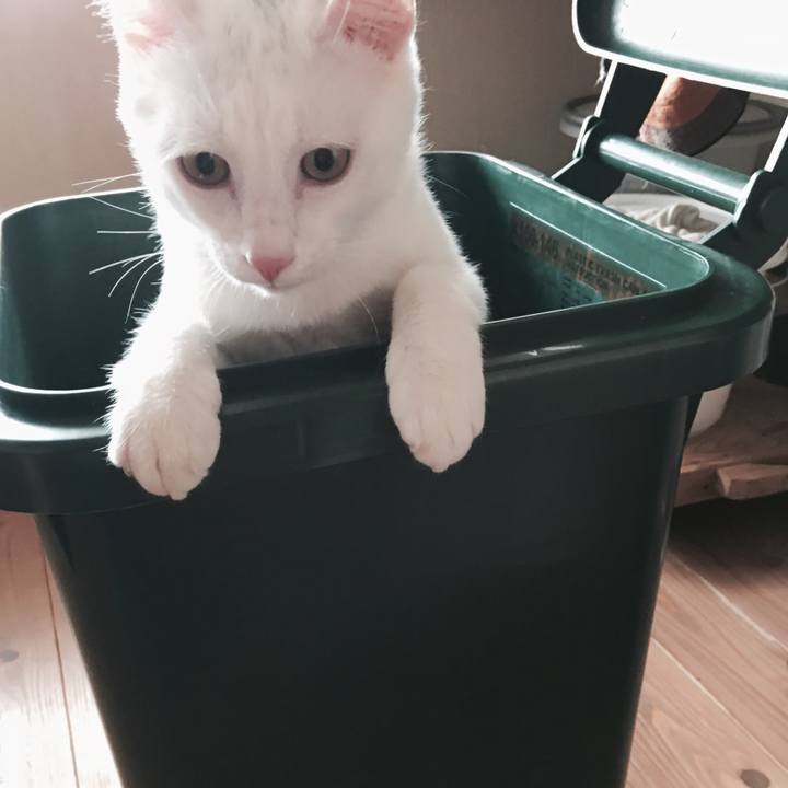 3340f5a3 a593 4c32 b94f 2b83ffdfc4d7