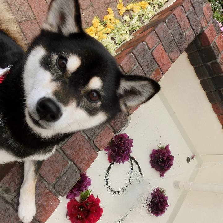 334153c3 dd46 4001 aec5 5bfd40552089