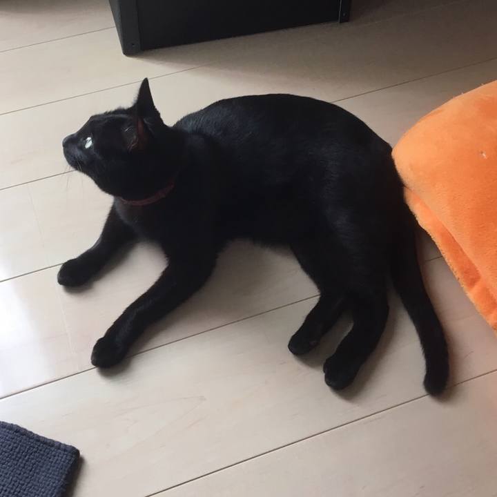 33417f6f 57a7 4447 ae0b f87e31eb052b