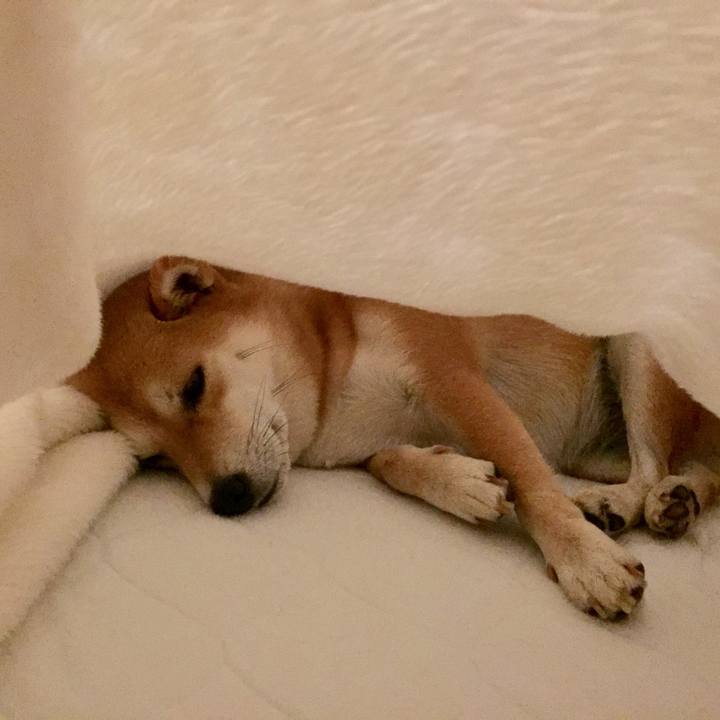 3341bd5f d11f 4c88 96d1 8a0a6d19a11d