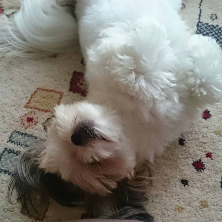 3342258a a24c 4ca5 9cd5 595688a9a79f