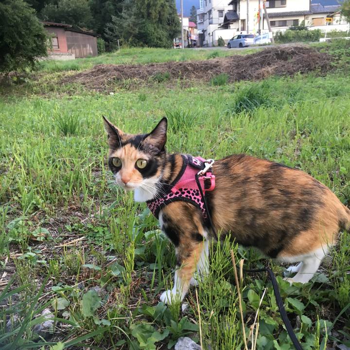 3342499b 7121 4fc6 9c0d 6c676f8a6ab3