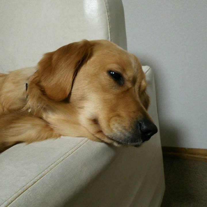 33425bdd ecb4 4250 be0b 9323377e8d0f