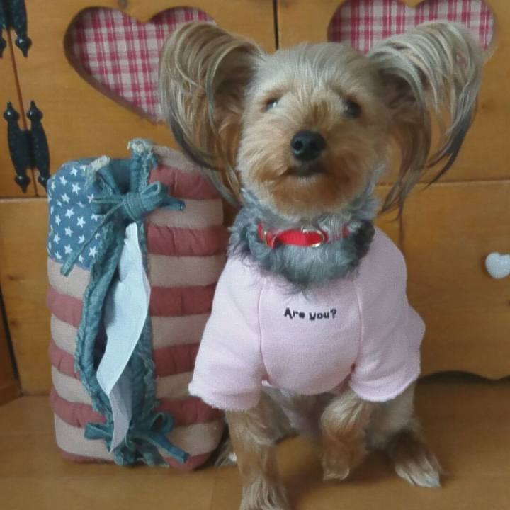 3342f7bd d322 48f9 b908 97c3cd724f73