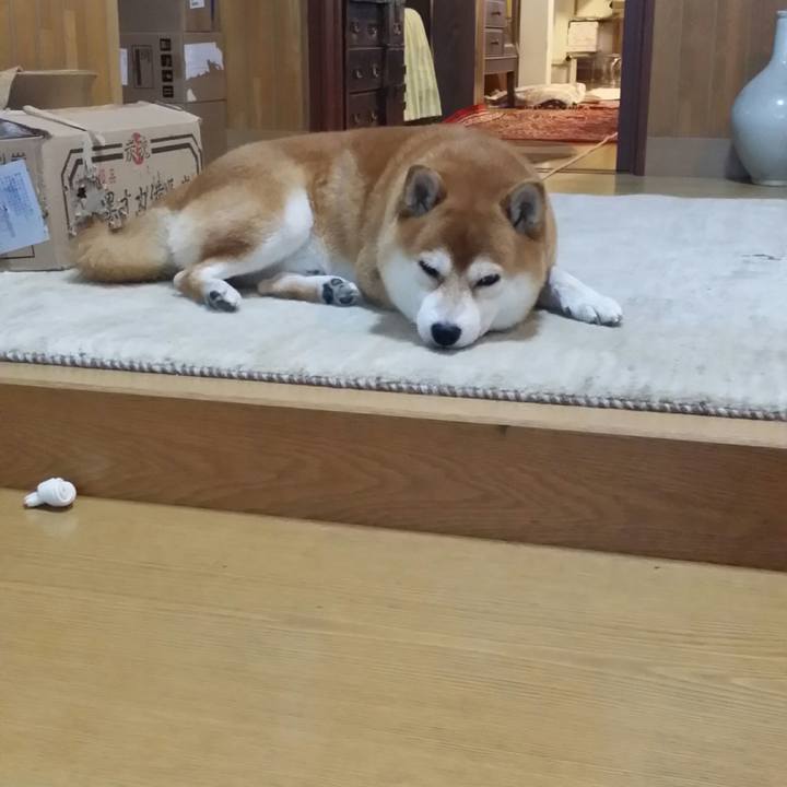 33430745 4d59 446e a397 062d8837203e