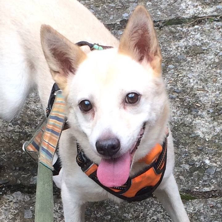 3343f970 b231 4c88 b8b3 2e8ca6652d97