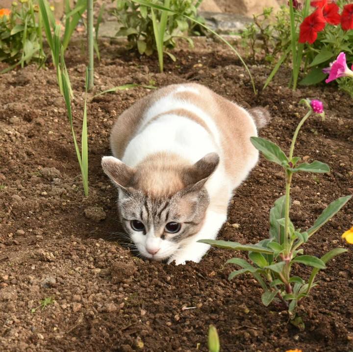 33441530 23ce 46eb 9067 332fb953f3b8