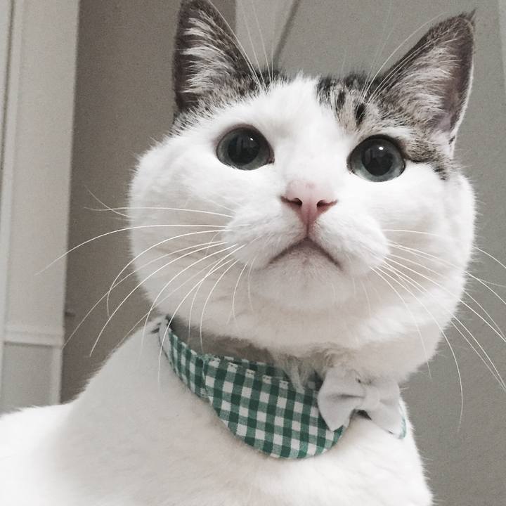 33441f54 b970 4771 b755 69791d3a7683