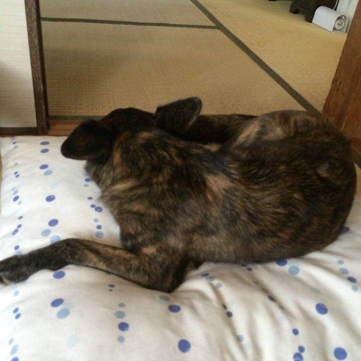 3344588f f26d 4ed2 98f6 b74ac22f1802