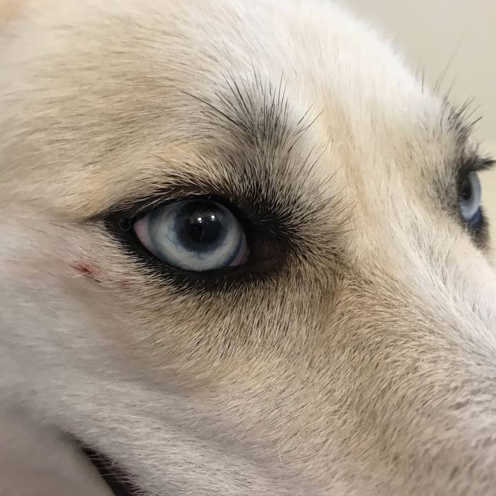 33447e0f eb9d 4376 a9e3 e6001cba12a9