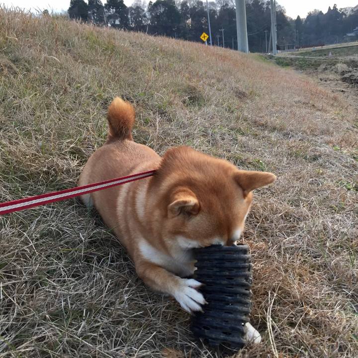 33449068 2e67 447b 9172 75d23628df90