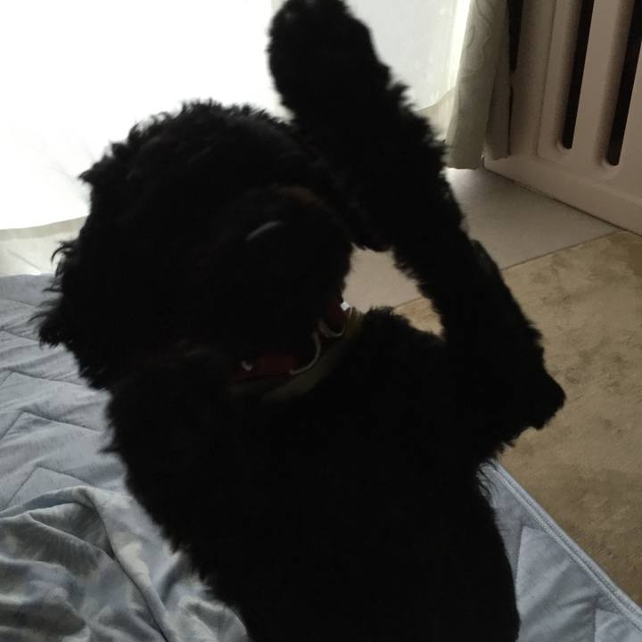 33449f91 9a89 49cf 9fd3 c2e0c07e2b3f