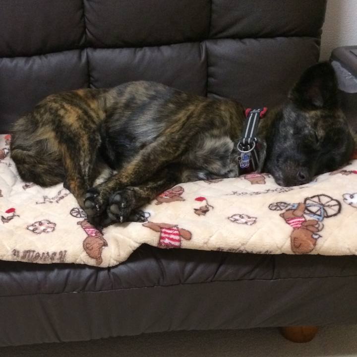 3344e6bd 4649 4ec1 b400 05c2422142b8