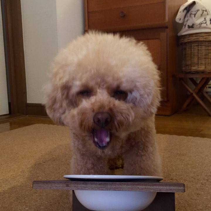 3345504c e722 4465 8543 d751301616f4