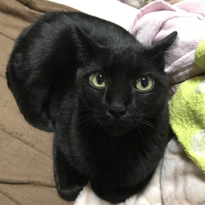 334580c5 d19b 4c7f a86f b55123f8d34c