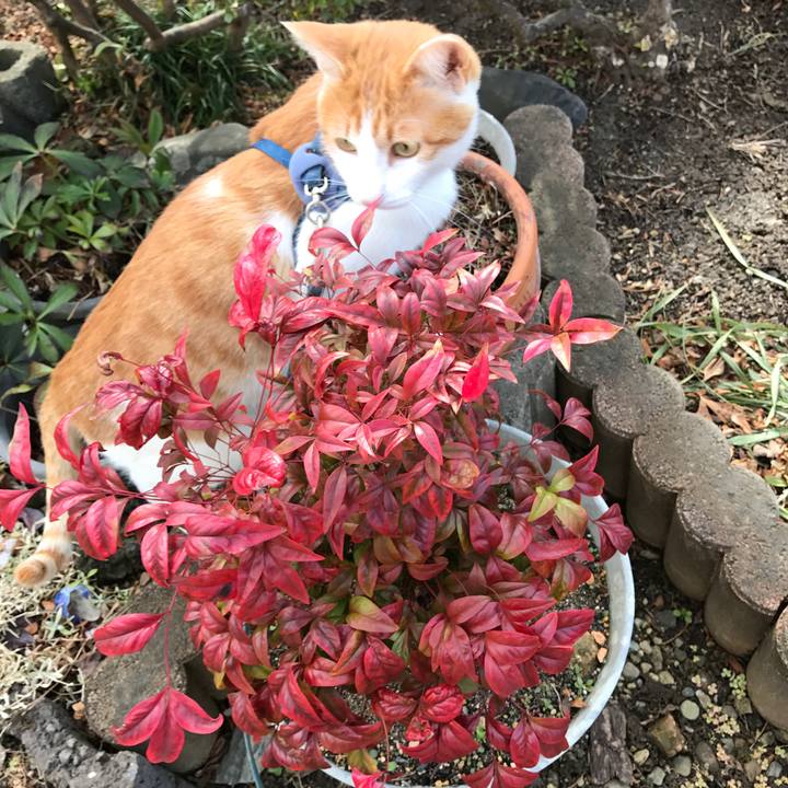 3345b16b 0de6 4d98 9f81 579948e73da1