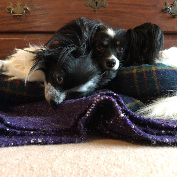 3345e624 ecf3 4985 b70e 37af41b9e7ef