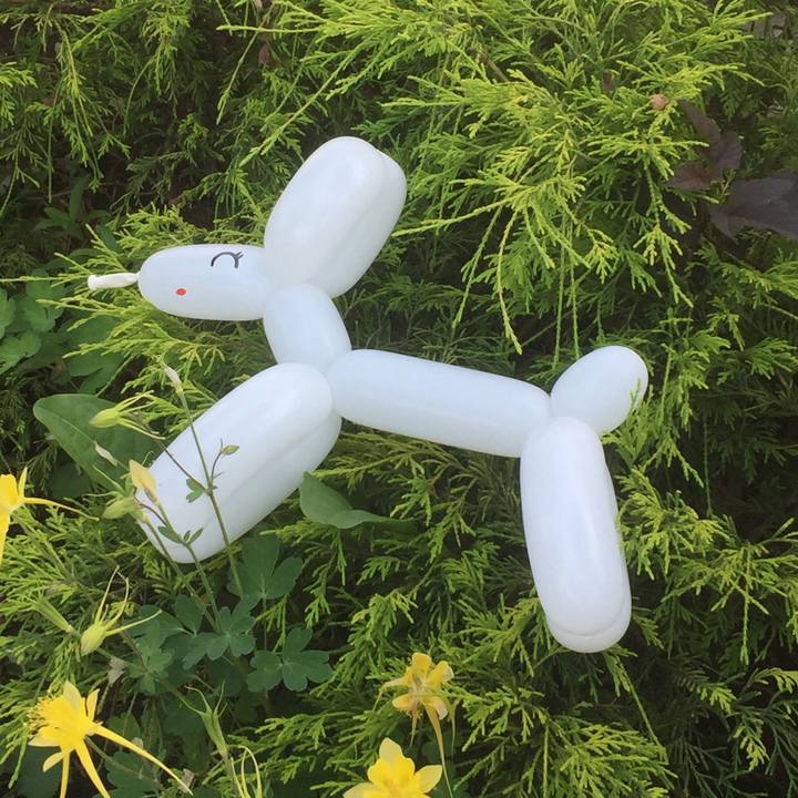 334634c2 975d 481a ae69 e96446c046be