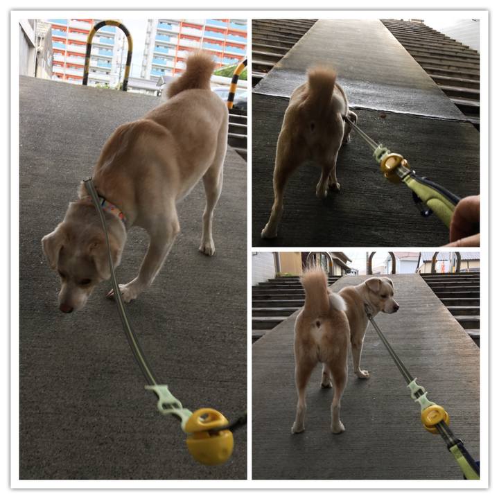 33463698 2a7a 4ff2 84a0 8eaebc541896