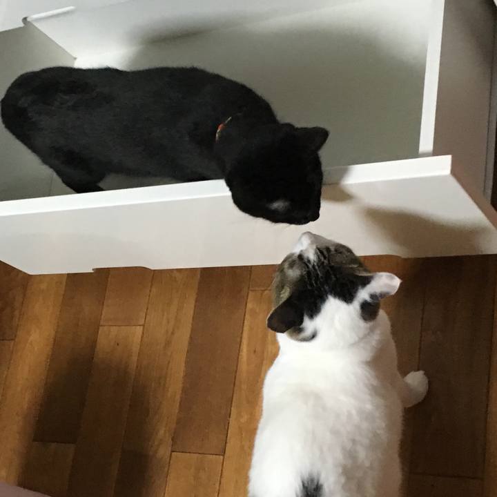 3346cfa7 2b3e 4764 ba82 df7d50b27825