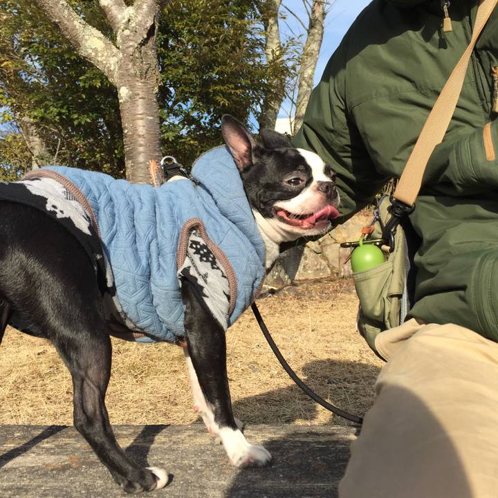 3346dcf3 9586 46f3 b8c9 b3fae0ffcd39