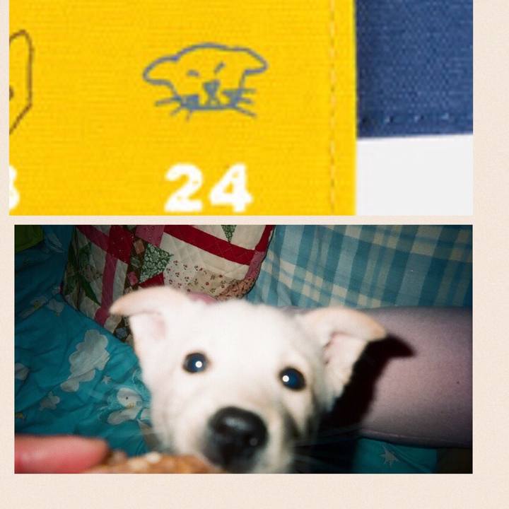 3346de07 deec 49b7 aee4 ecdf9b3d9925