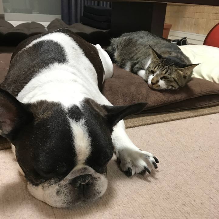 33471dcc b0a6 4e61 b230 29130cb7d2d2