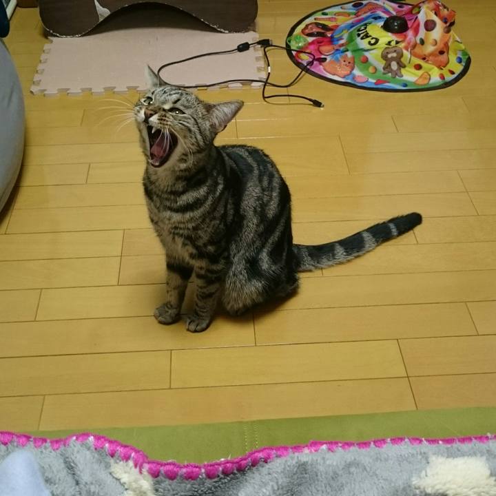 33471f40 4bdb 4ac3 8cfc 5f996c9f7490