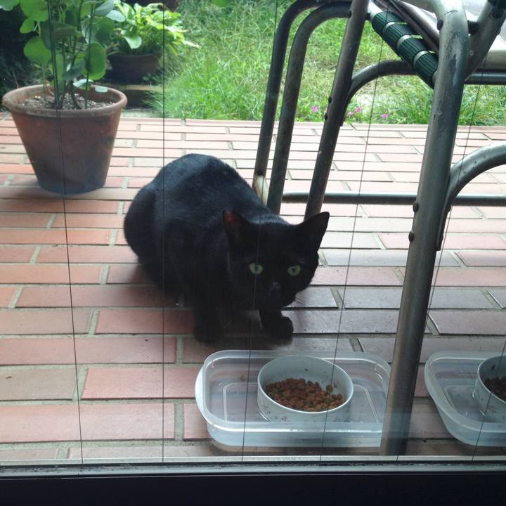 33472b8f 8a4a 42b3 bd64 560b792dc5ac