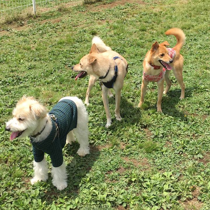 33479411 d09f 44c8 bf0b 06b9ecdd0fee