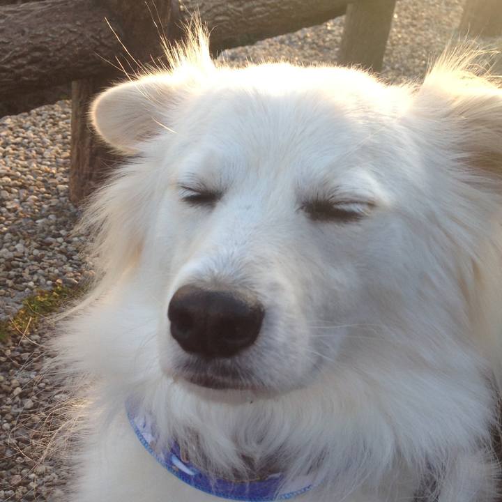 3347dd4b 7d1e 4022 976f 5b2d38824278