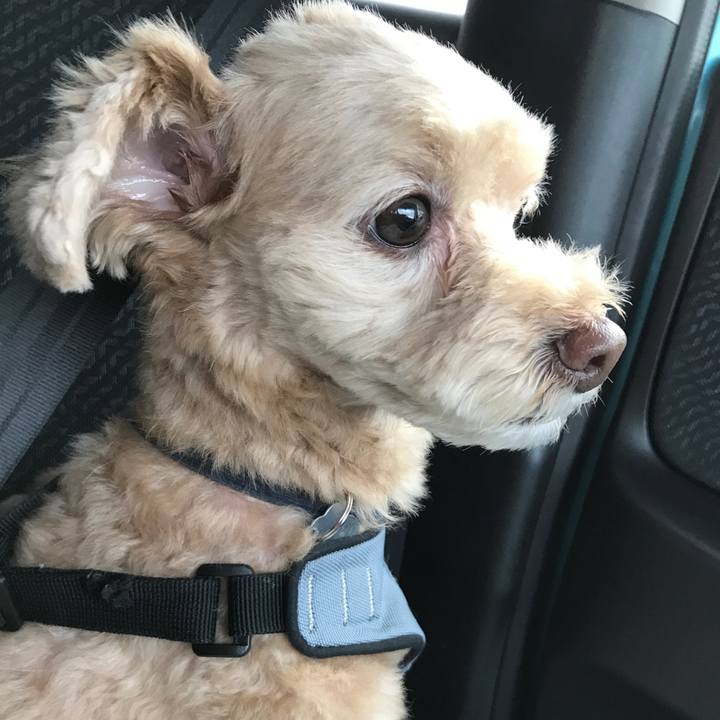 3348019e 64c8 4e3e ad4e c7e4b3449a09