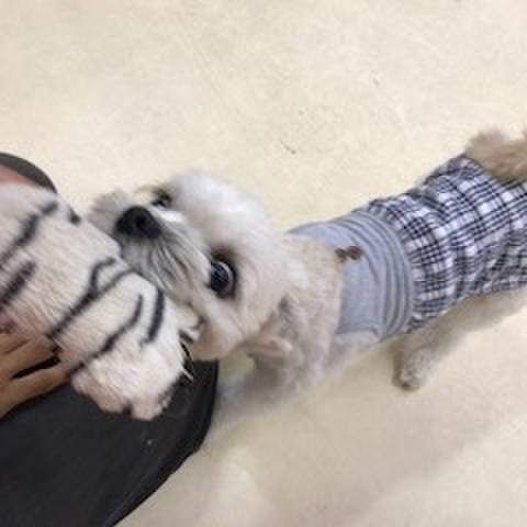 334861e0 3ea4 4ccb 9d83 58cf76737e49