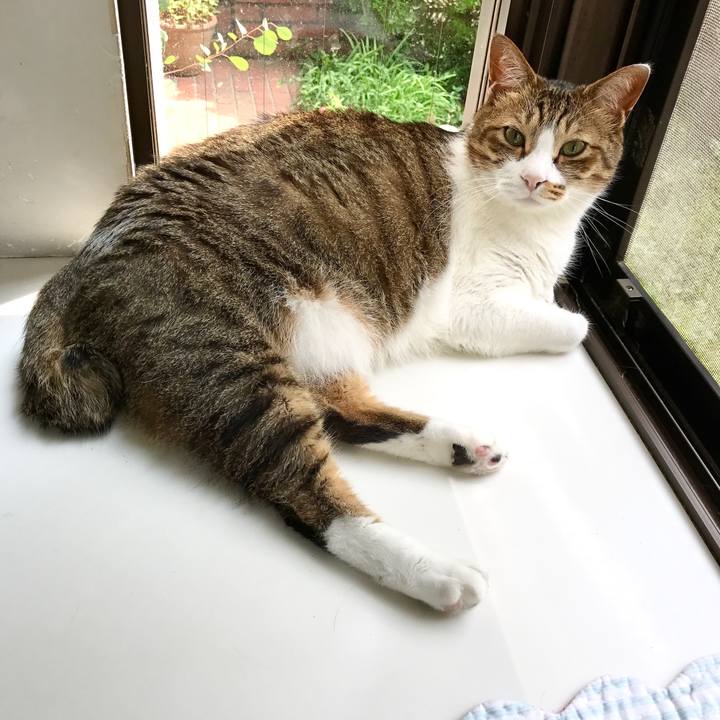 334869d0 8207 43f9 90c5 9ab032bb3c55