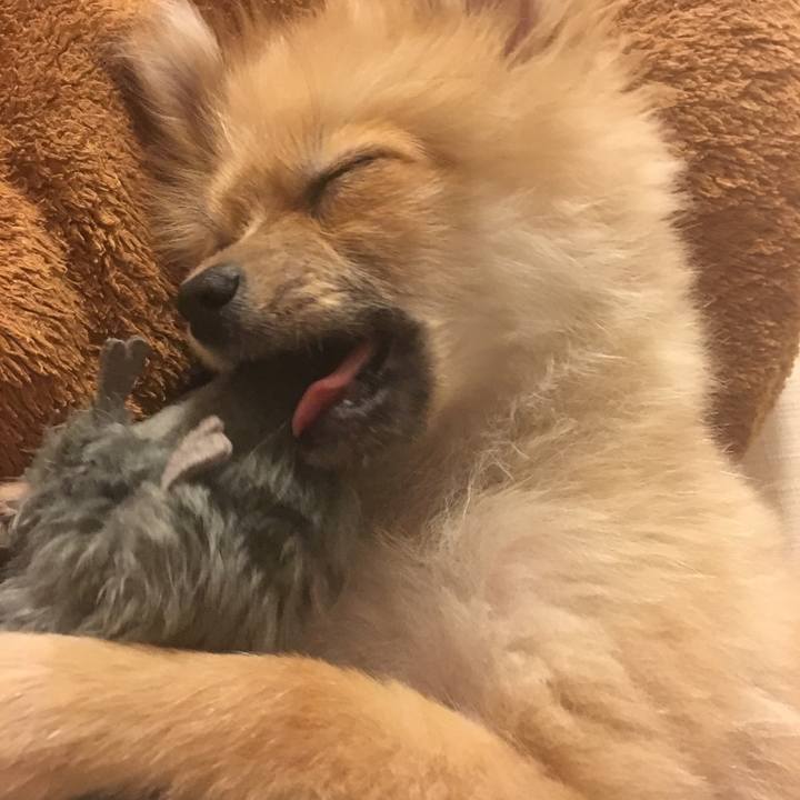 3349929a 4d41 4135 8535 eaa168889da4