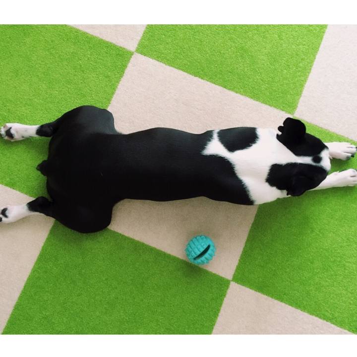 3349e6b9 d384 4d4c b8b0 e760ba51c073