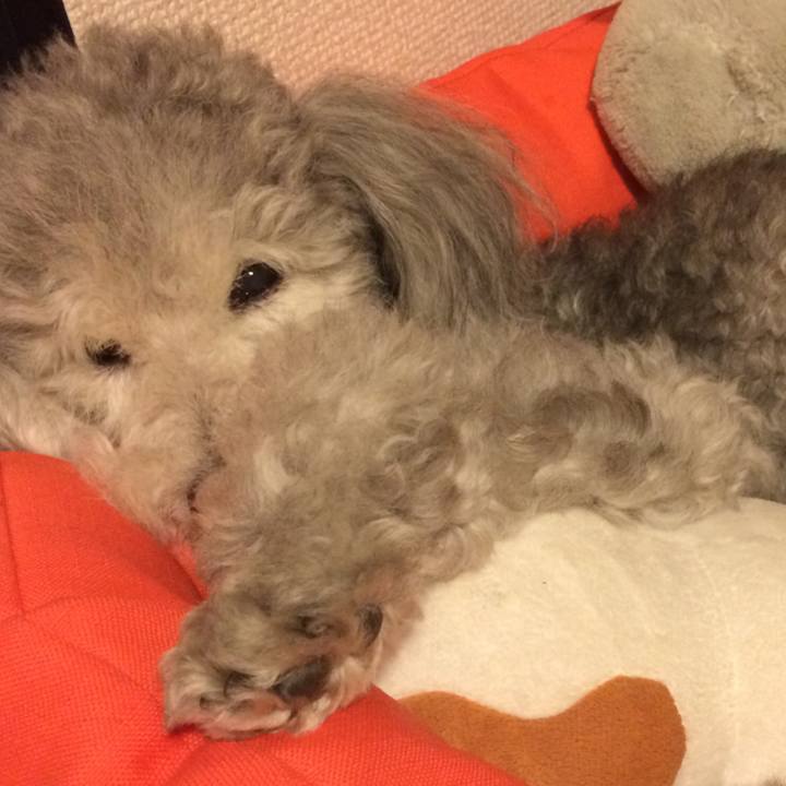 334a0651 eb85 4011 a7e8 5b0e511c9bdd