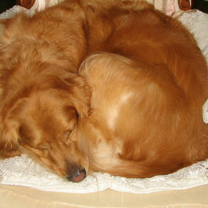 334a59b2 b2a4 4e77 859b 725645934c93