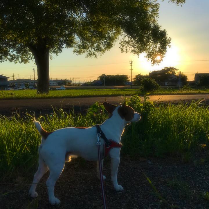 334a816c 441c 481a 9614 6ce2318d87ce